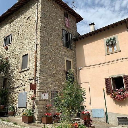 La Torre Del Vicario Villa Palazzuolo Sul Senio Exteriör bild